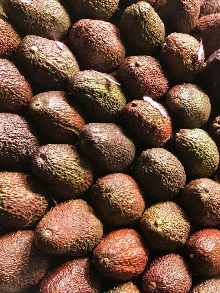 how healthy are avocados