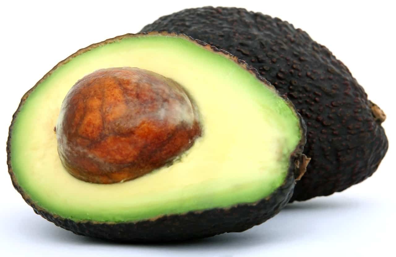 Does avocado have protein
