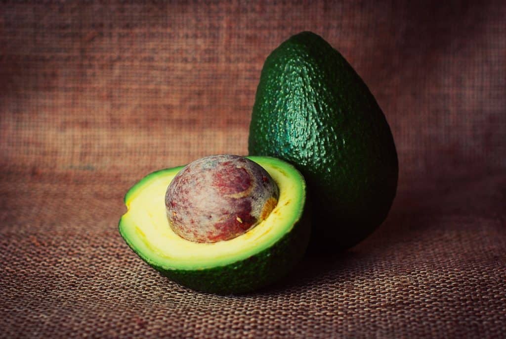 does avocado have protein