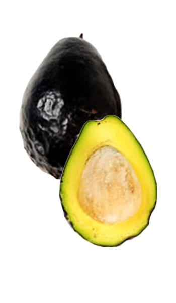 Different Types of avocado
