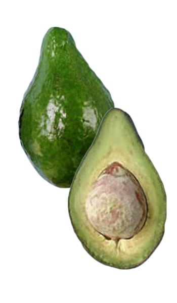 Different Types of Avocado