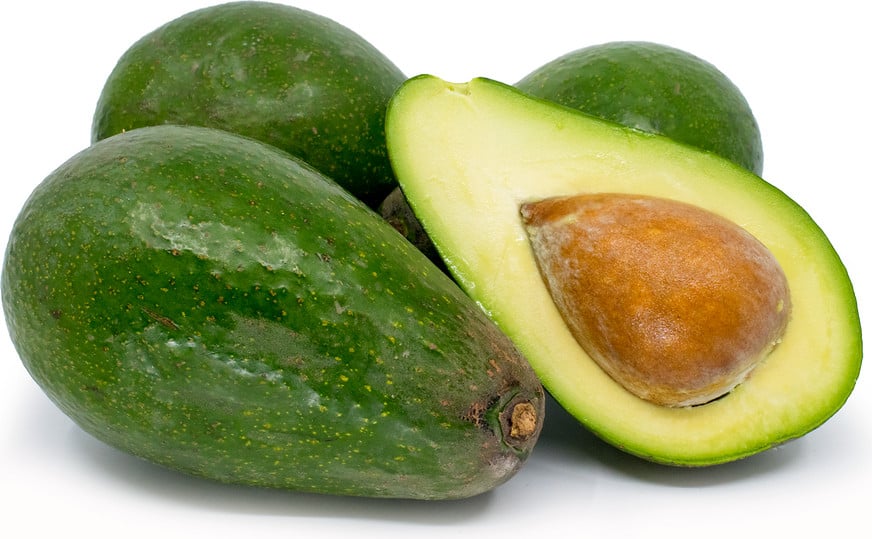different types of avocado
