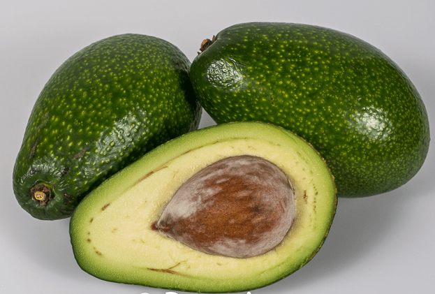 different types of avocado