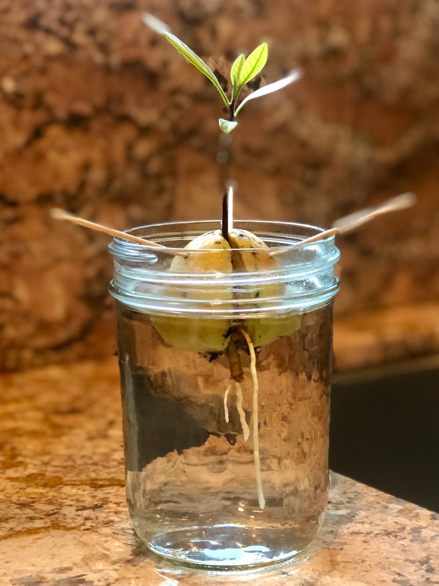 clear glass jar with white straw